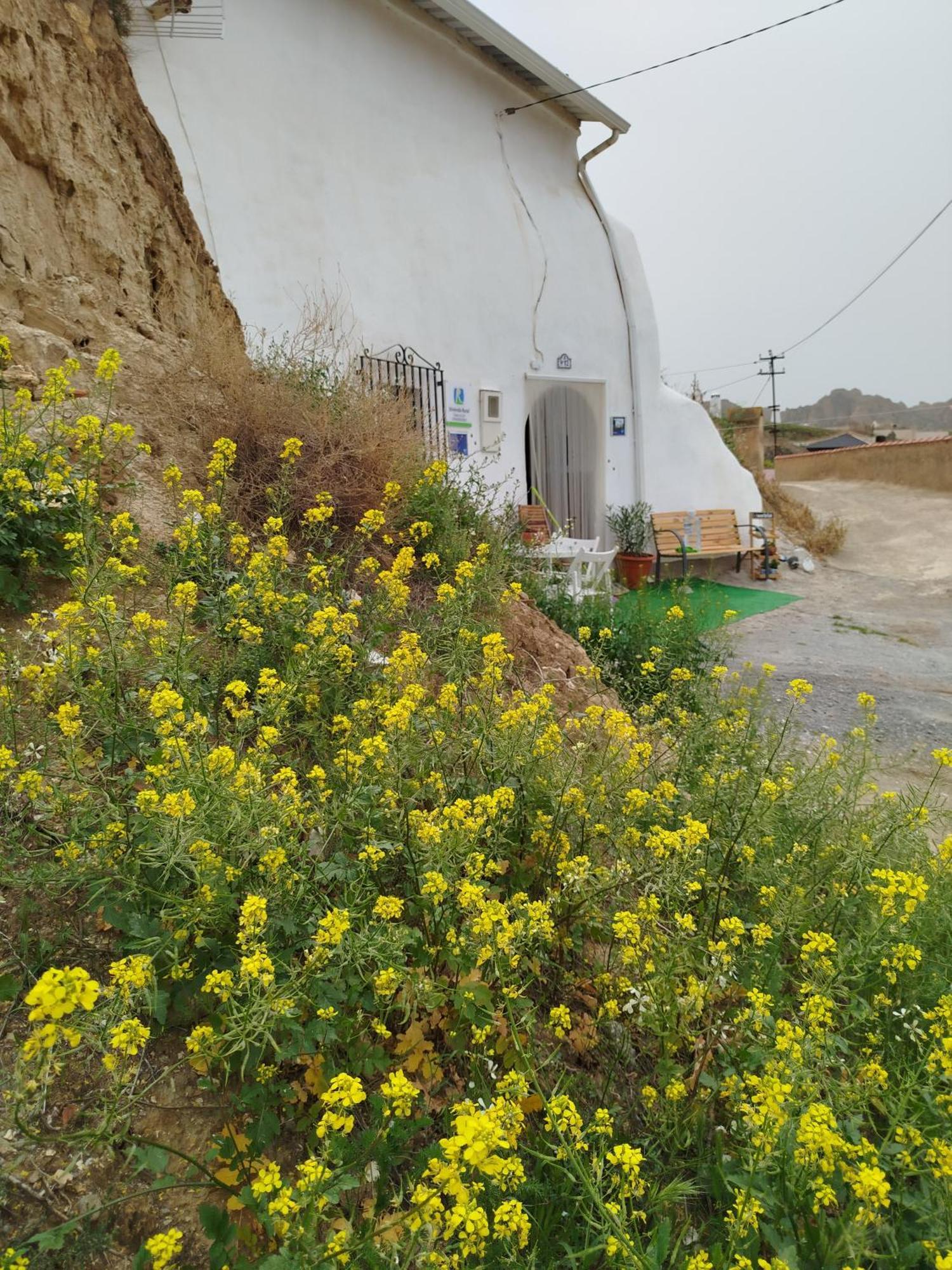 Cueva La Loli Villa Guadix Kültér fotó