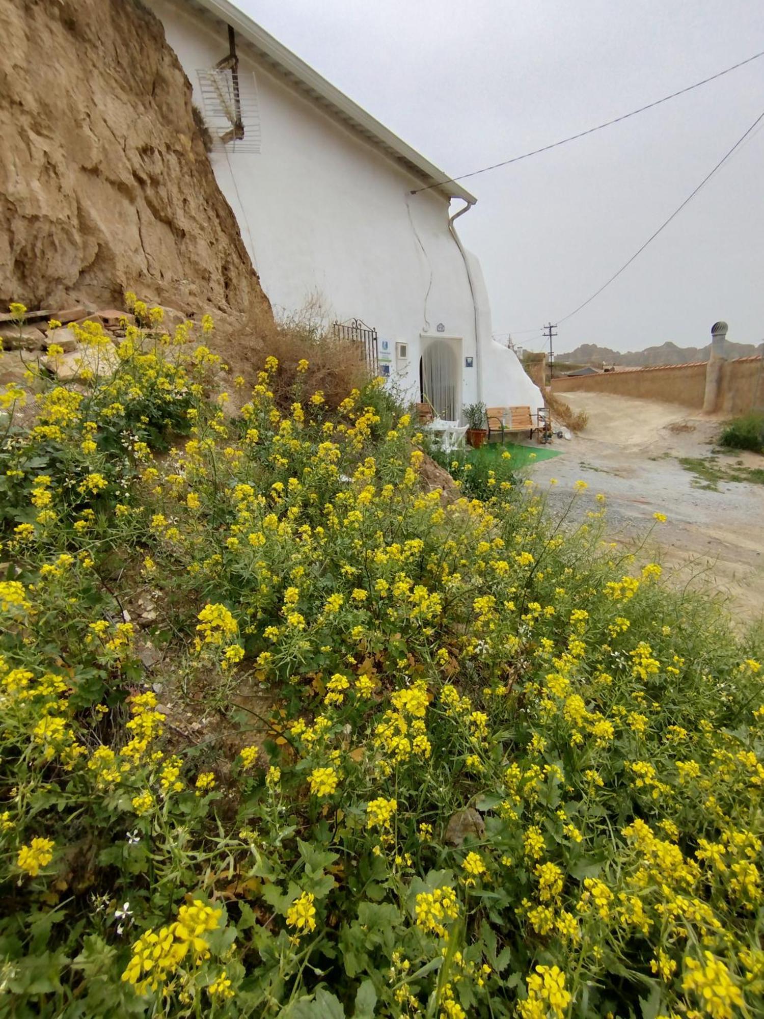 Cueva La Loli Villa Guadix Kültér fotó