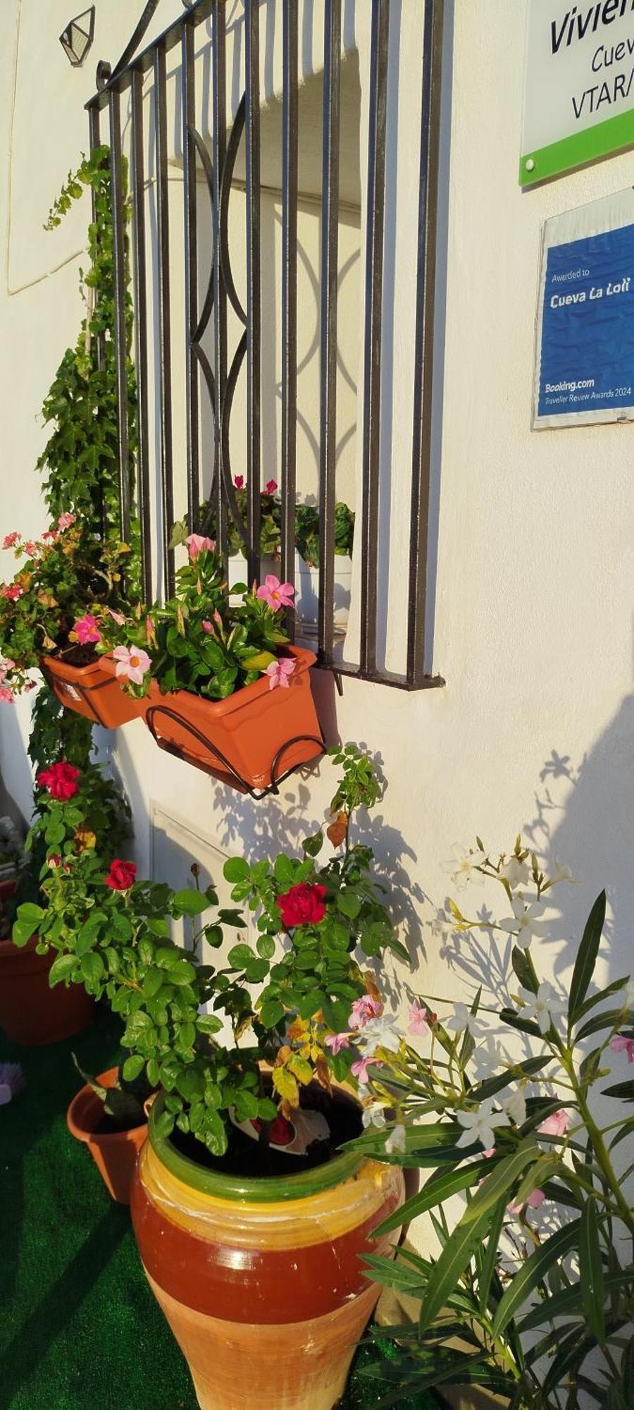 Cueva La Loli Villa Guadix Kültér fotó